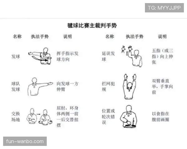 如何判断球场上的恶意犯规：看懂裁判手势的关键