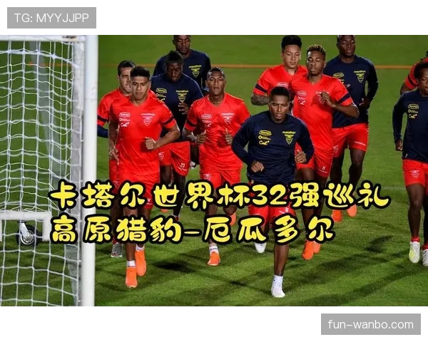 厄瓜多尔队2026世界杯阵容预测：高原之鹰能否延续黑马传奇